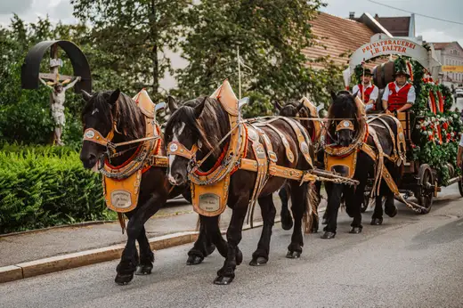 Schmalzlerfest Perlesreut 2024 Freitag: Volksfesteinzug, Perlesreuter bleMUSI Foto 2400011